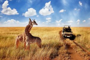5+ Unforgettable Kenya Safari Packages: Your Gateway to Africa’s Spectacular Wildlife