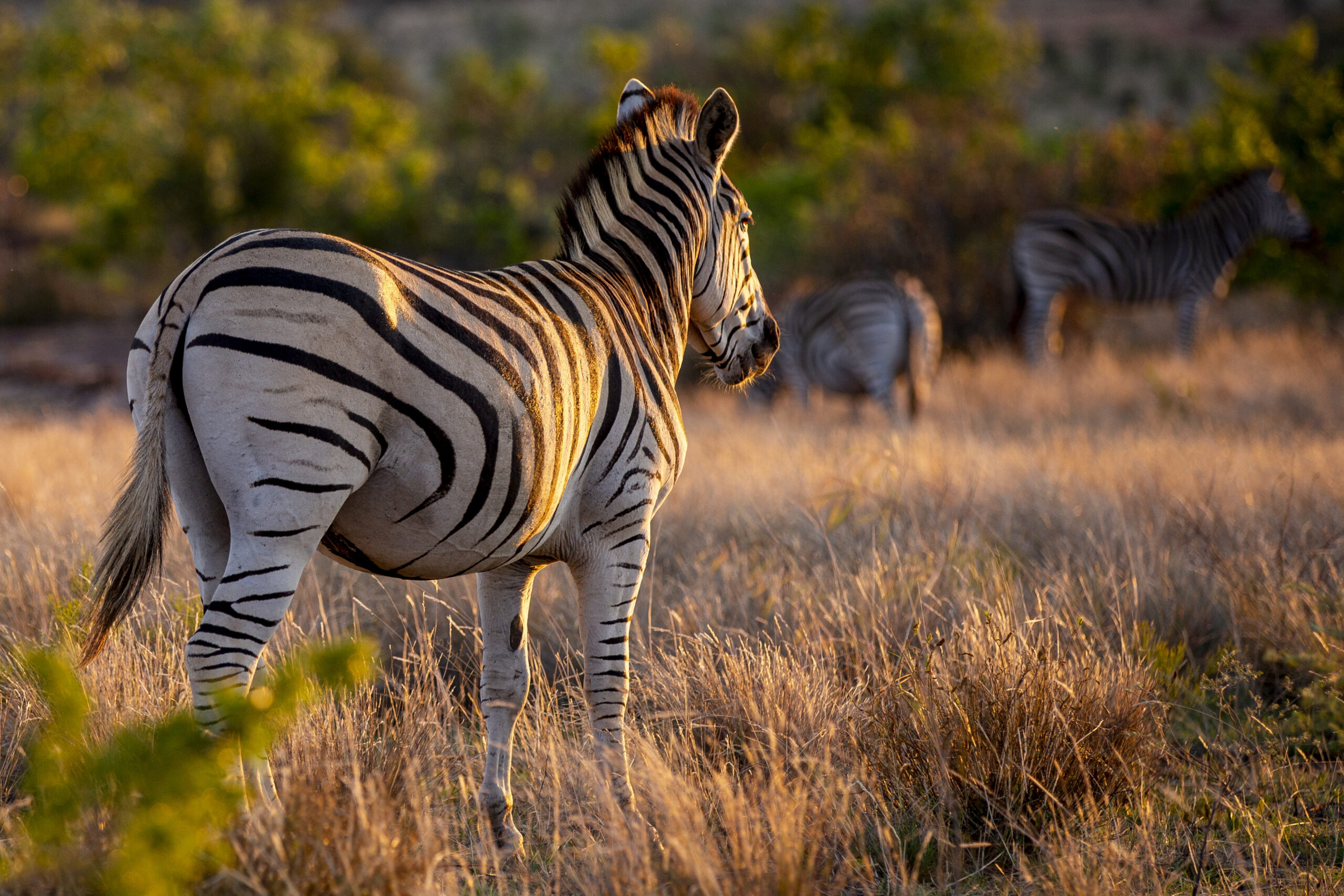 Budget Kenya Vacation Packages