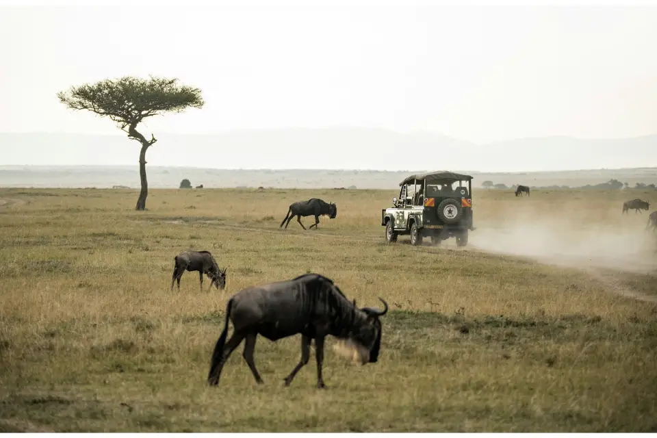 Maasai Mara