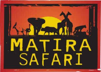 Matara Safari