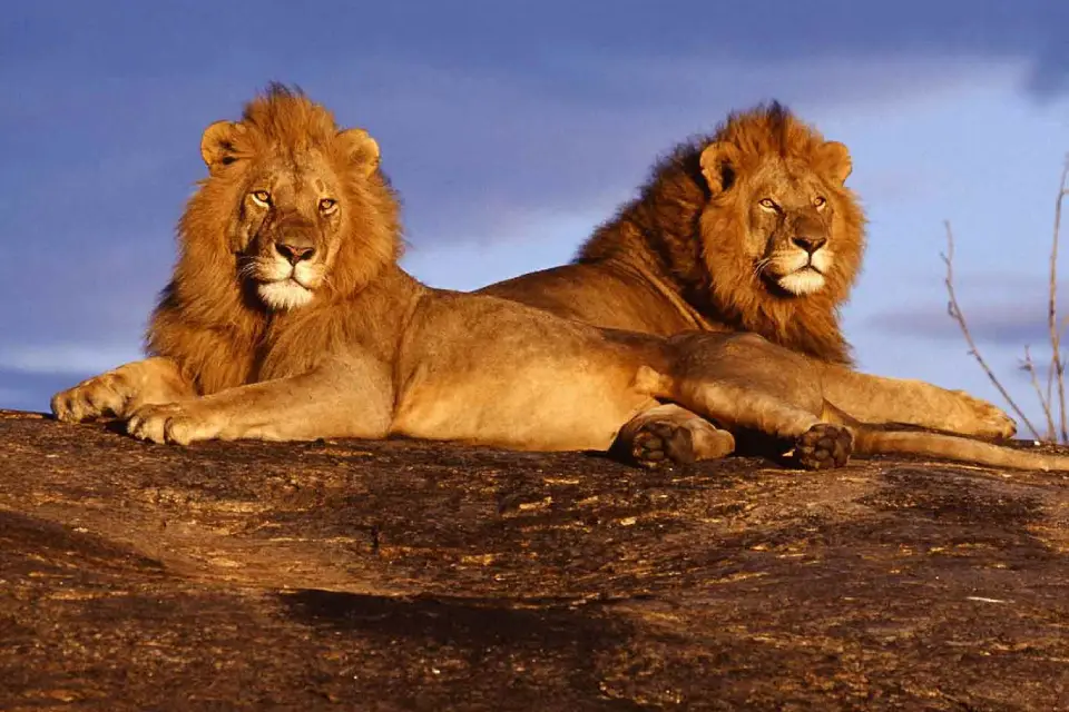 Tsavo National Park