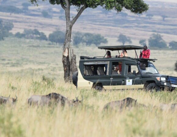 3-Day Masai Mara Lodge Safari