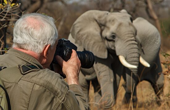 Man engaging with wildlife photography