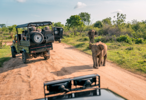 Top 5 Best Tour and Travel Companies in Kenya