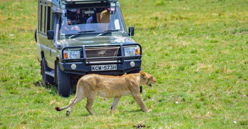 Nairobi National Park tour
