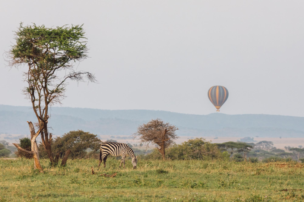 hot air balloon safari