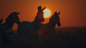 Night Safaris: A Thrilling Journey Into Africa’s Nocturnal Wilderness