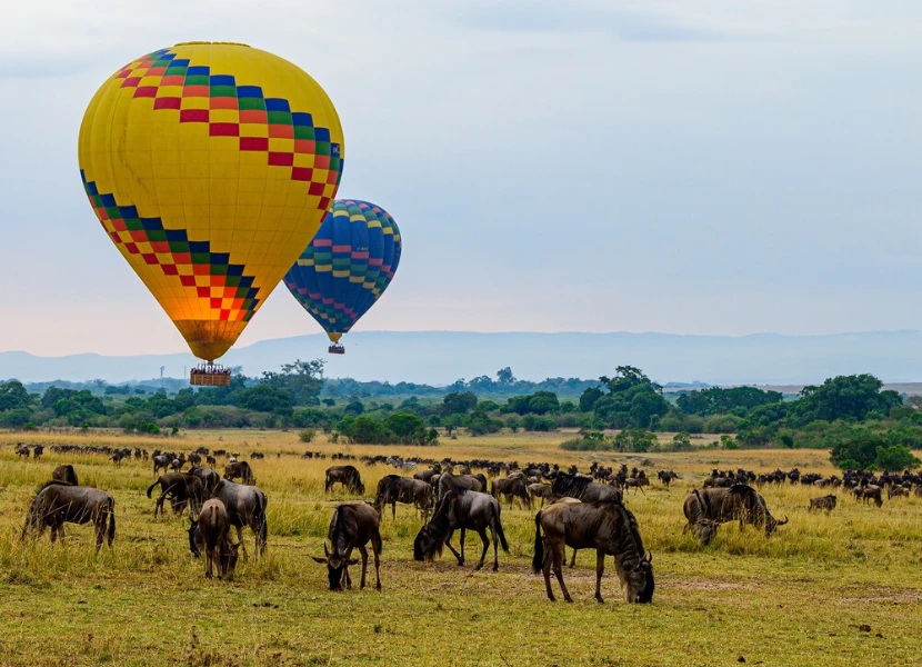 3 Days Maasai Mara Safari