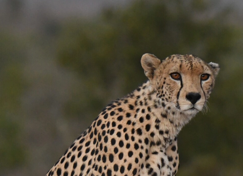 3-days-wildlife-conservation-1