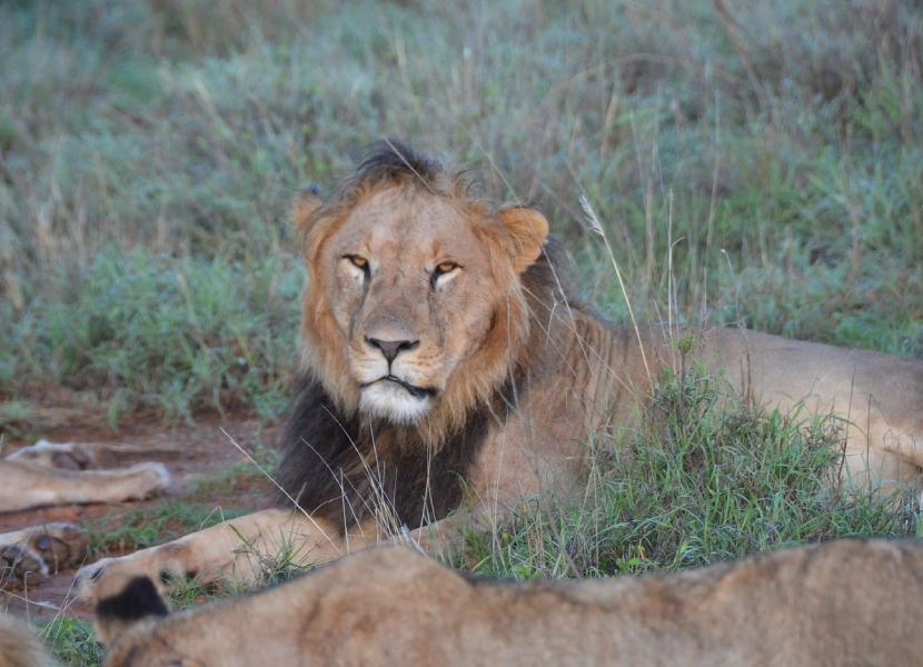 3-days-wildlife-conservation-2
