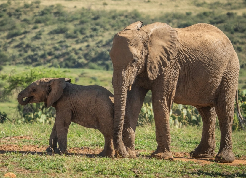 3-days-wildlife-conservation-3