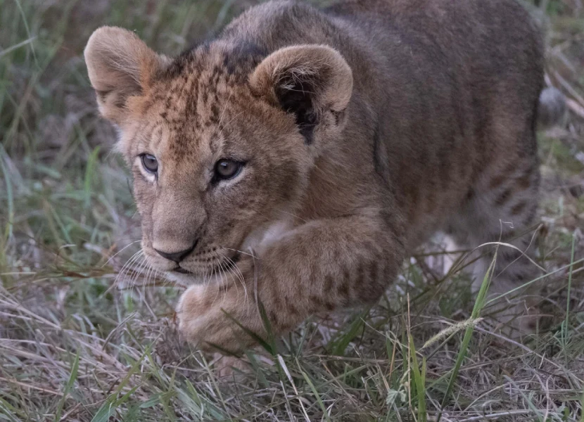 Masai Mara Attractions