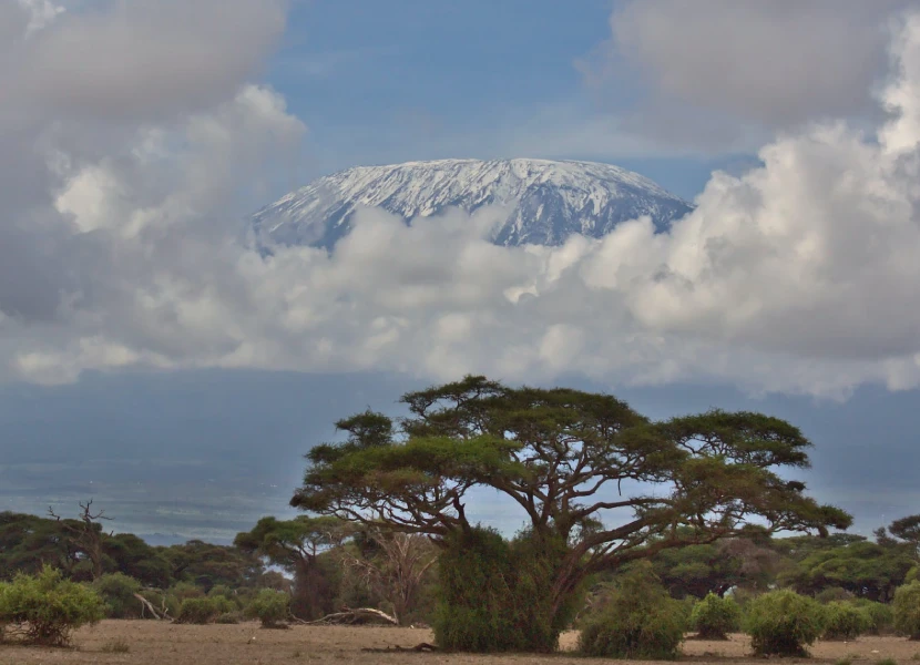Amboseli Attractions