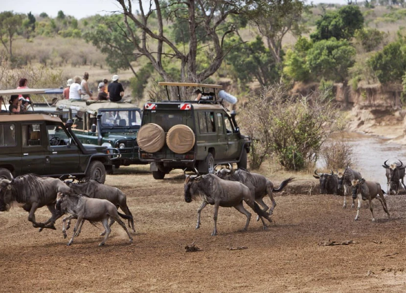 Masai Mara Attractions