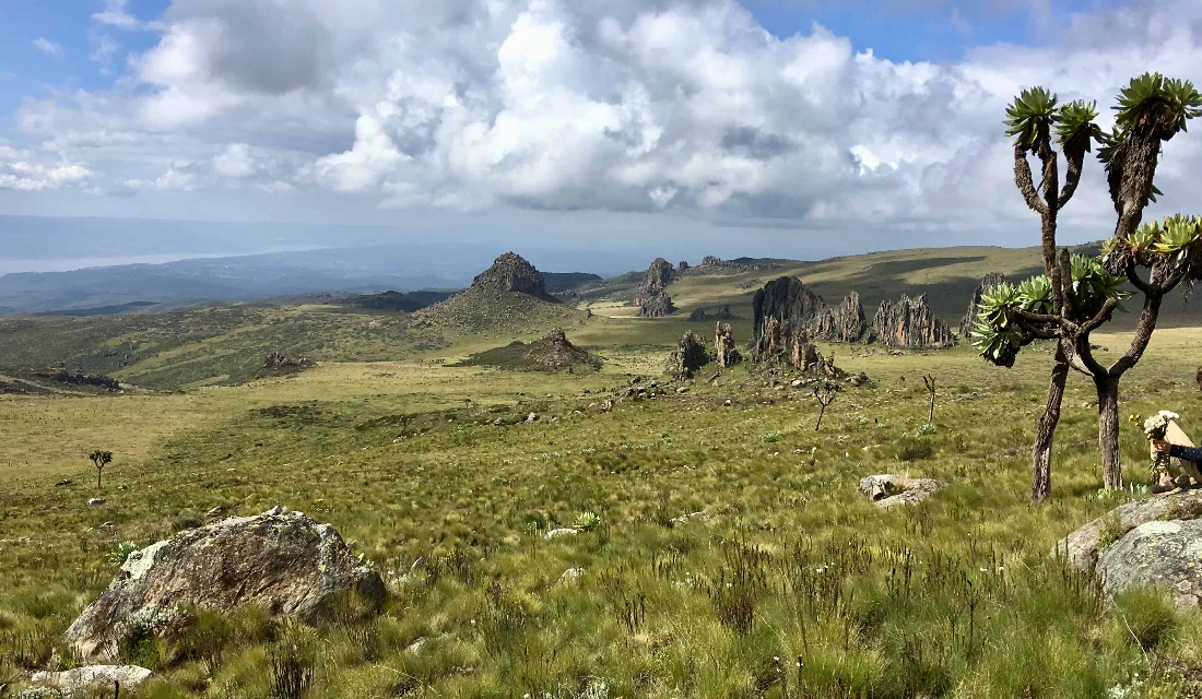 Aberdare National Park