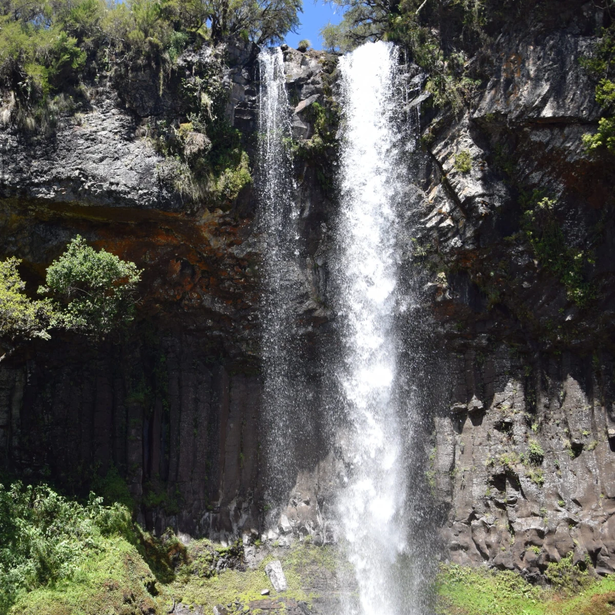 Aberdare National Park