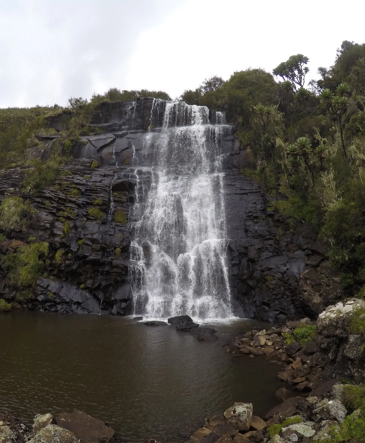 Aberdare National Park