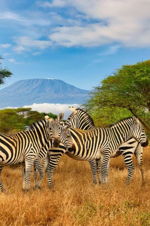 Amboseli National Park