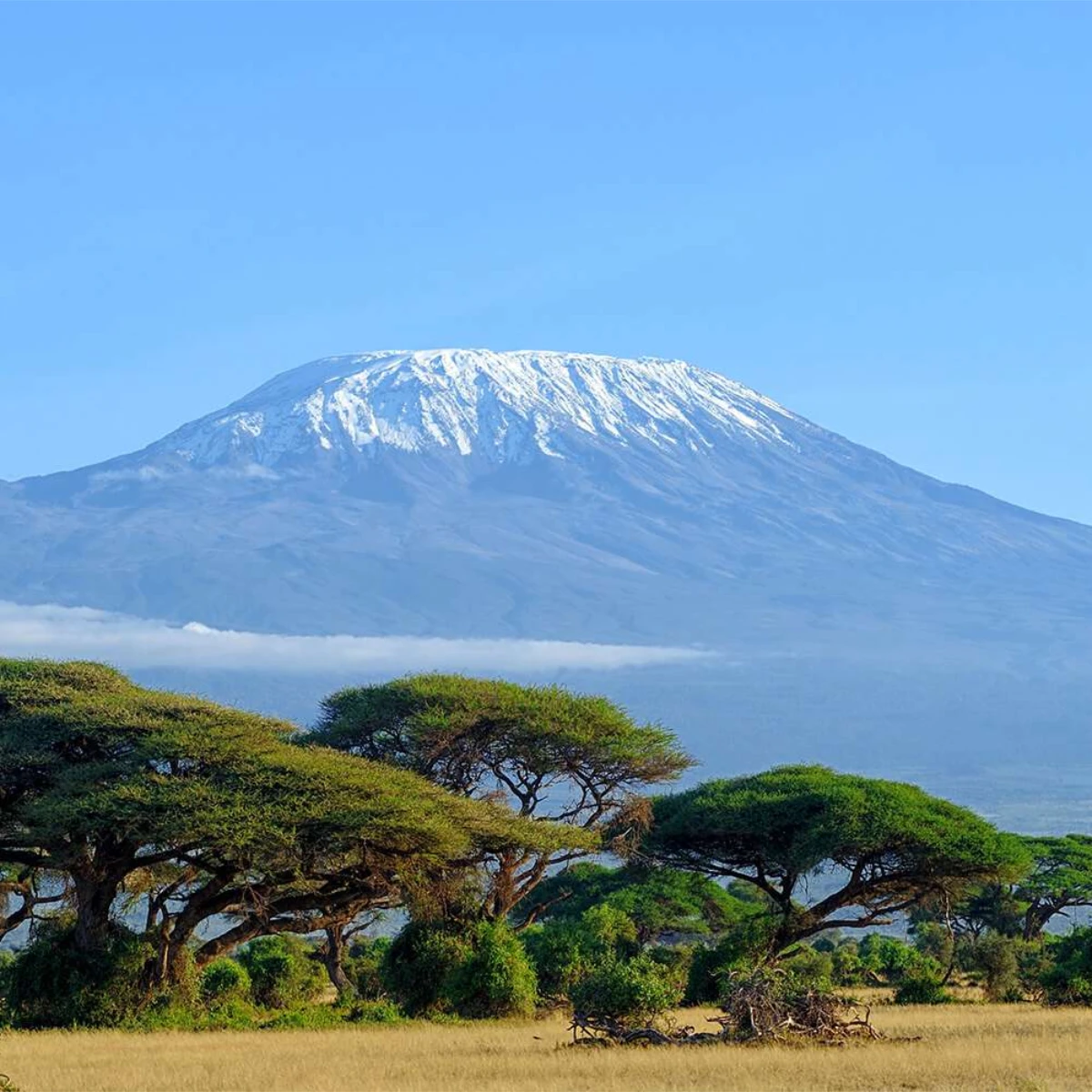 Amboseli National Park
