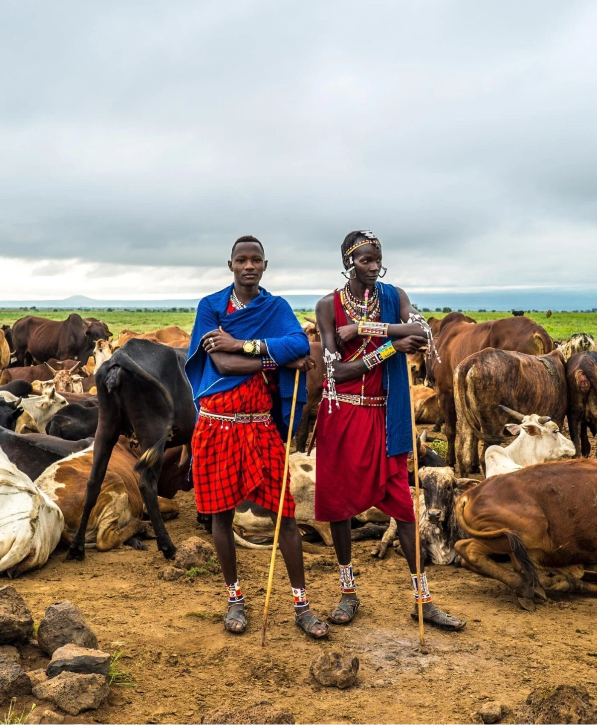 Amboseli National Park