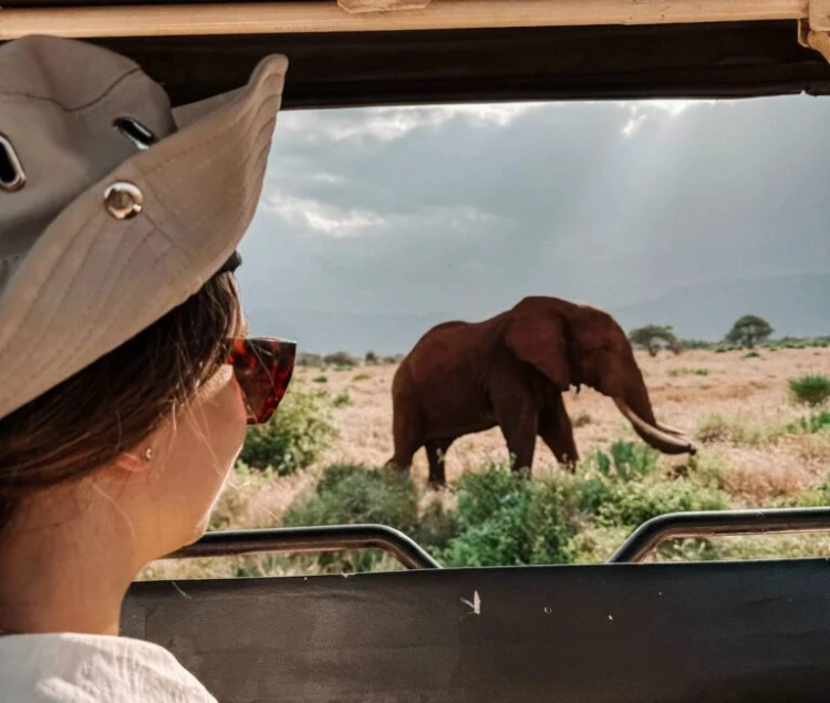 Best Time to Visit Kenya