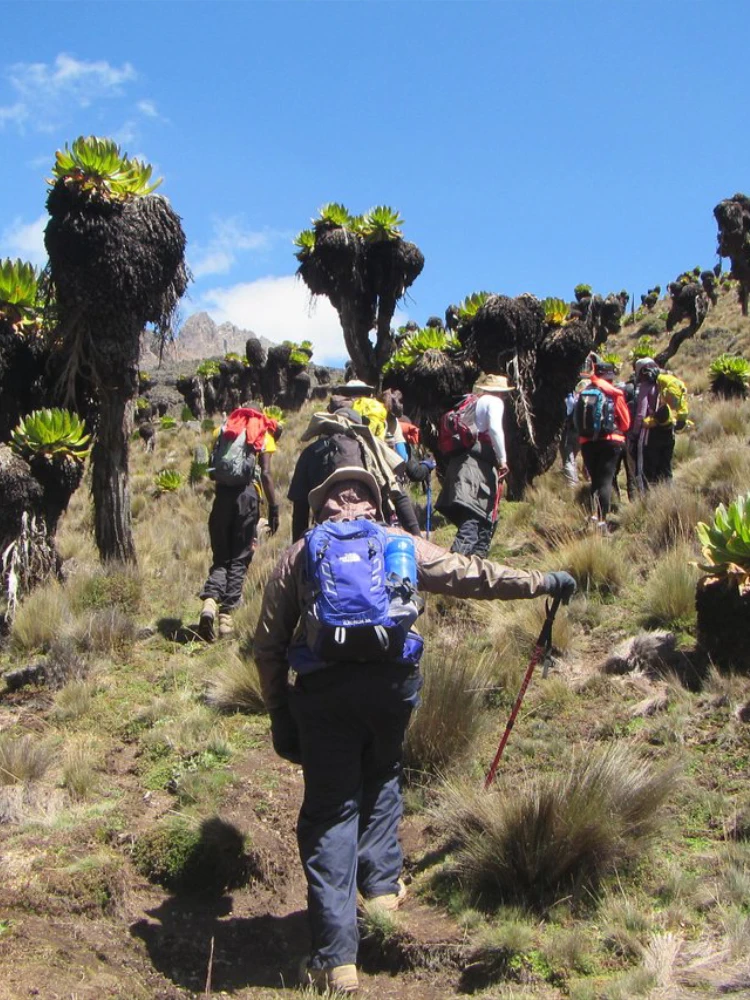 Climb Mount Kenya