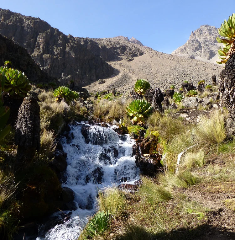 Climb Mount Kenya