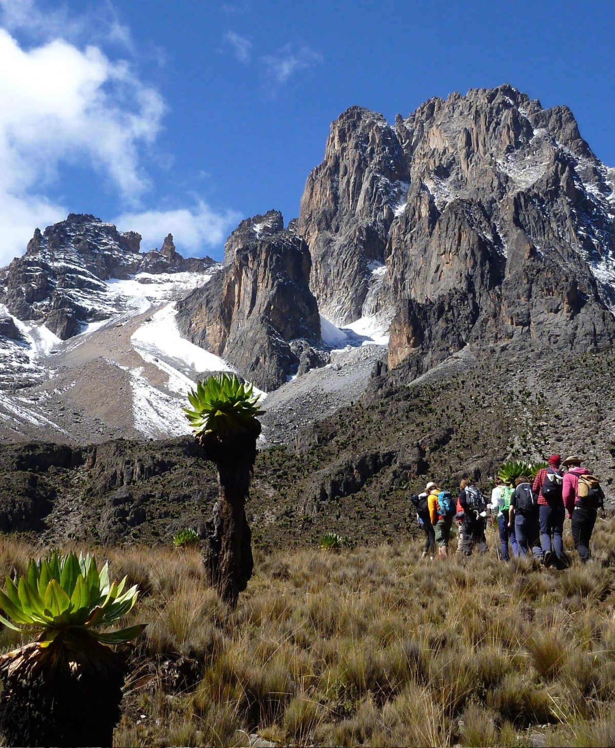 Climb Mount Kenya