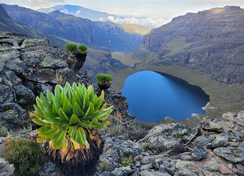 Climb Mount Kenya