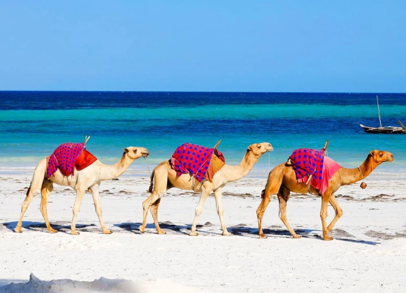 Kenya Beaches