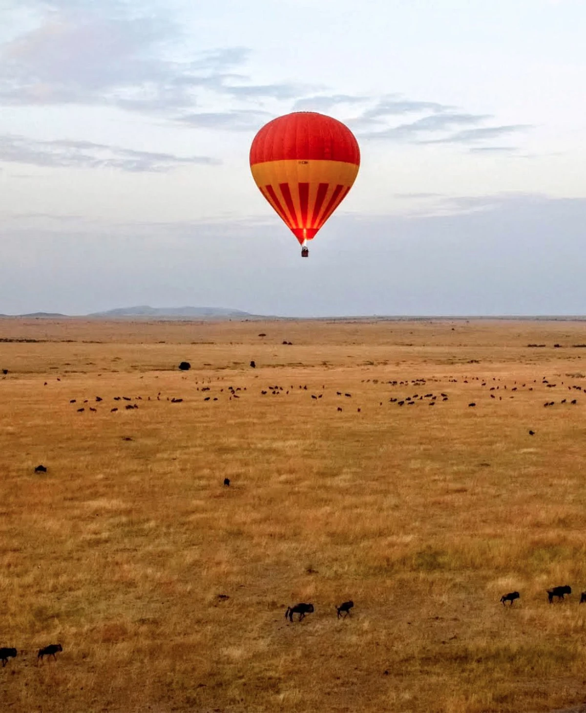 Kenya Safari