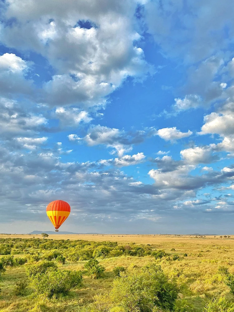 Hot Air Balloon Safari