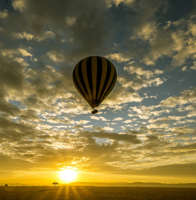 Hot Air Balloon Safari