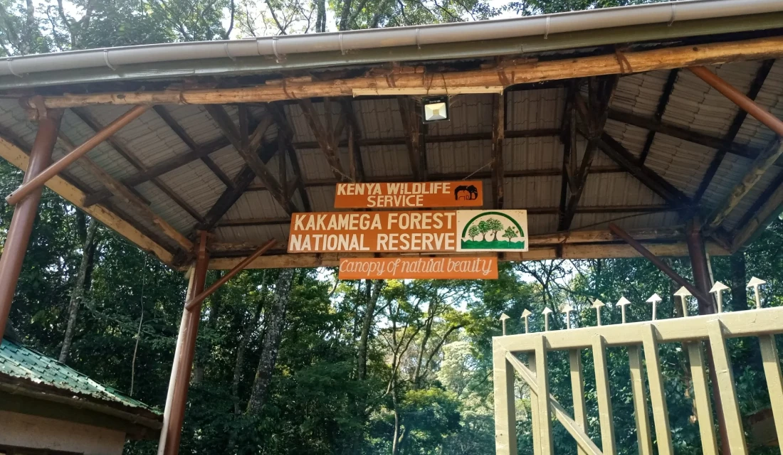 Kakamega