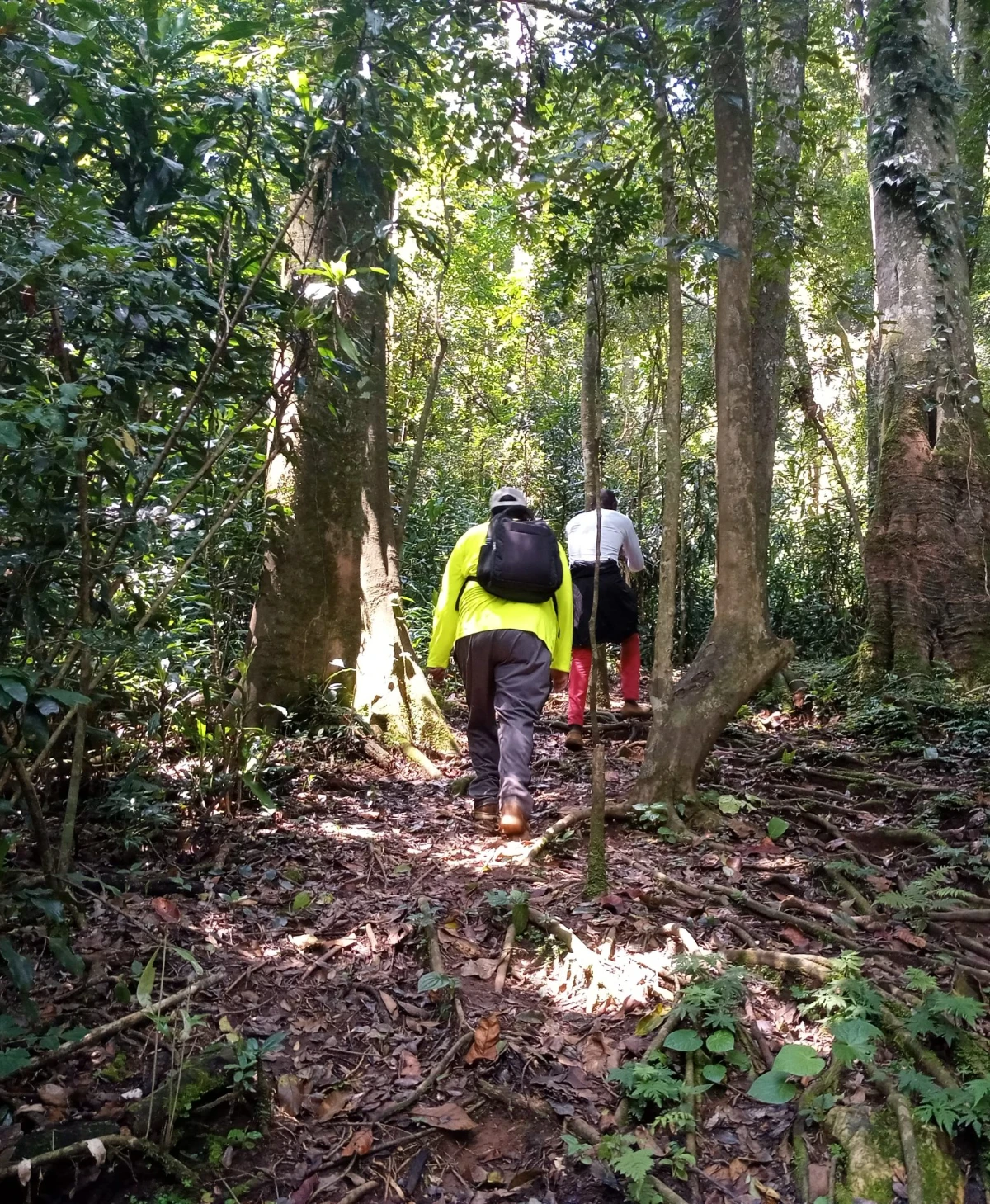 Kakamega