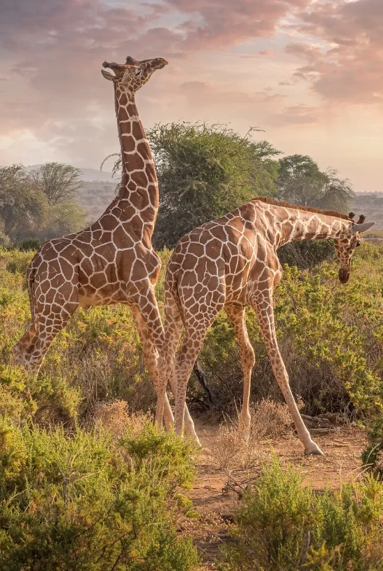 Kenya Destinations