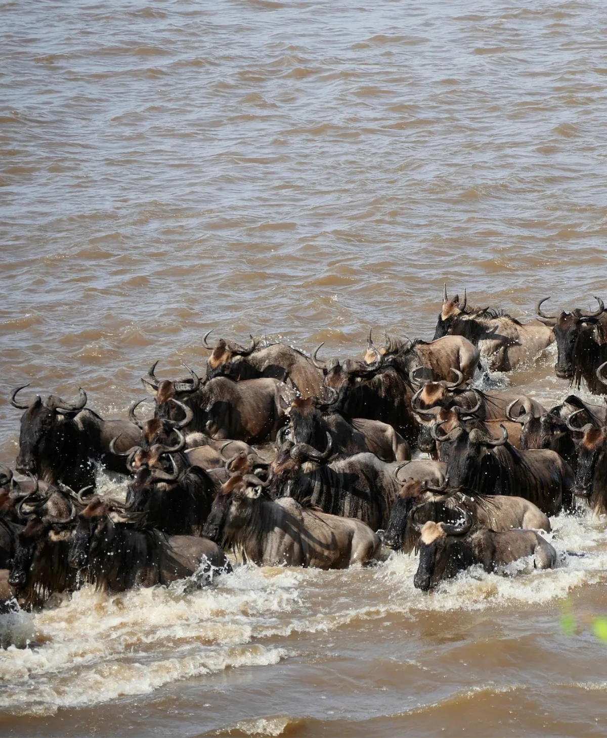 Kenya Destinations