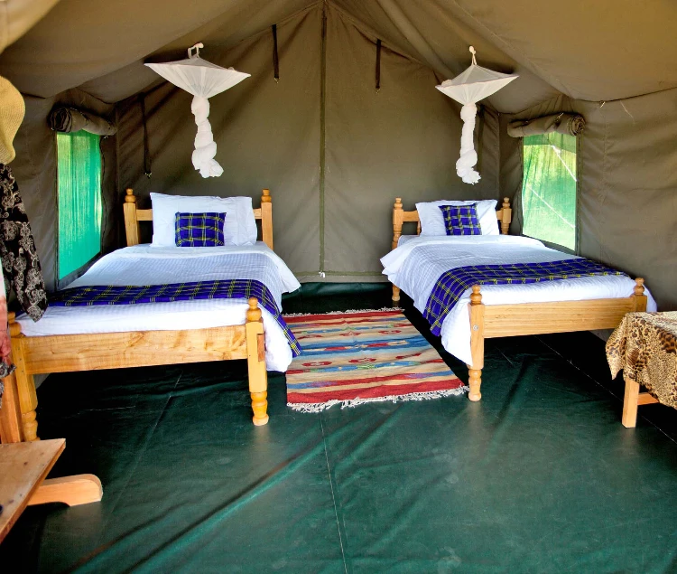 Kenya Safari Cost