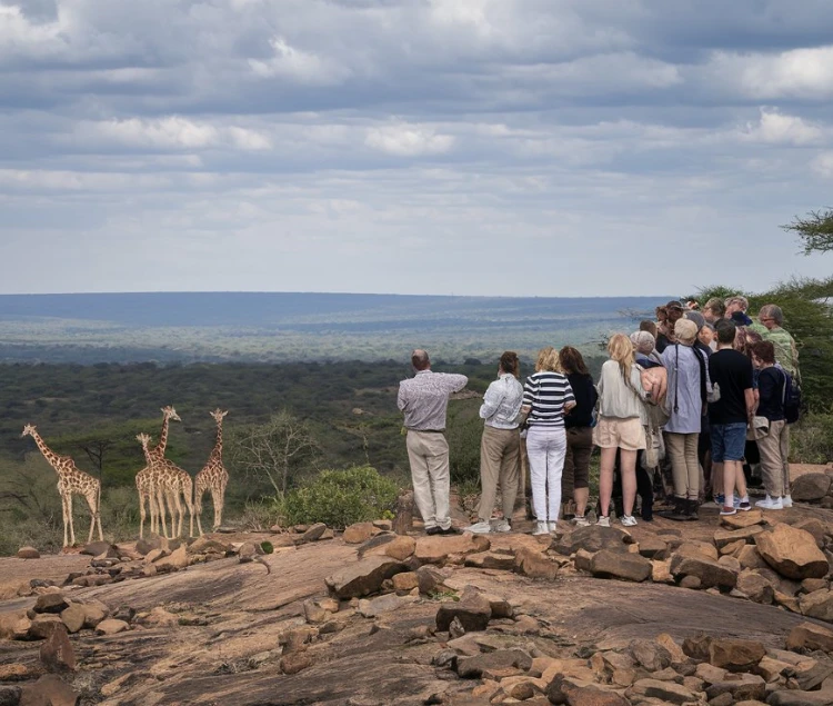 Kenya Safari Cost