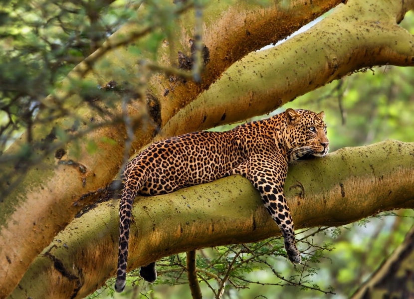 lake-nakuru-day-trip-2