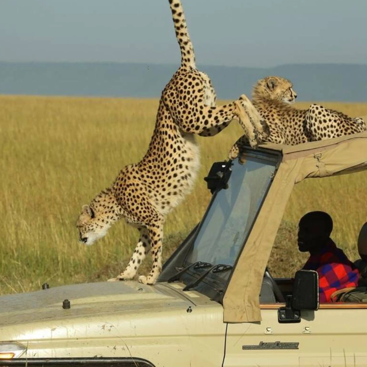 Maasai Mara National Reserve