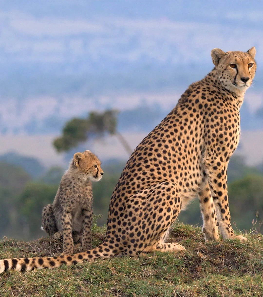 Maasai Mara National Reserve