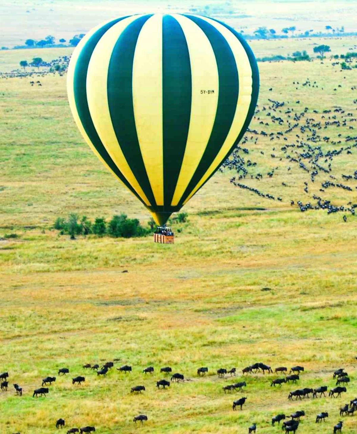 Maasai Mara National Reserve