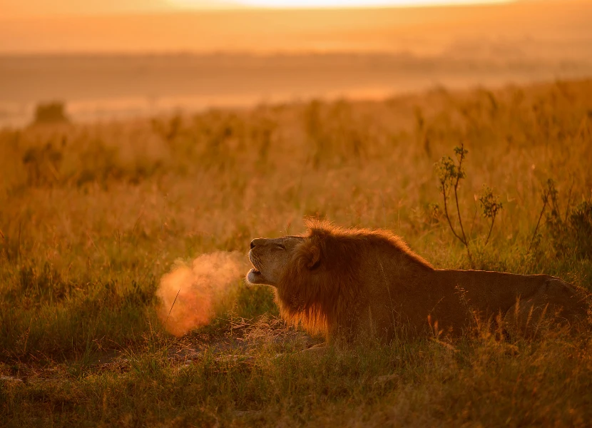 Maasai Mara National Reserve