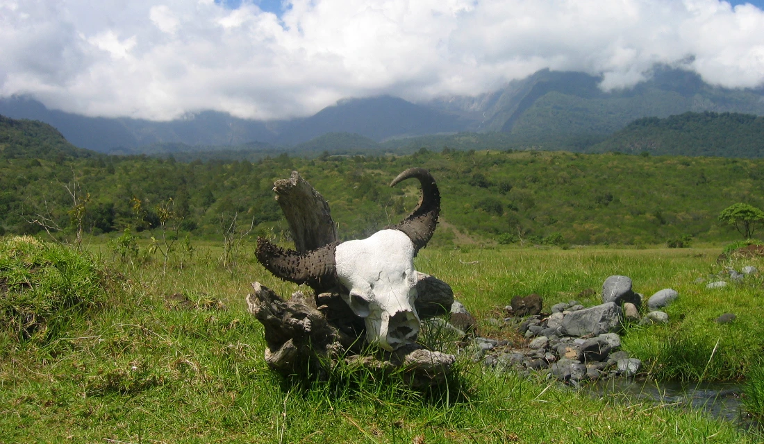 Meru National Park