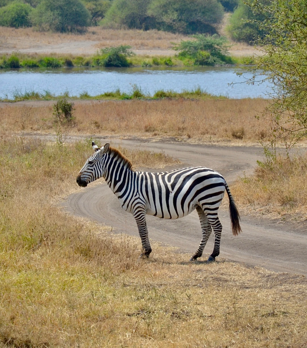 Nairobi National Park