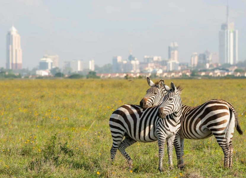 Nairobi National Park