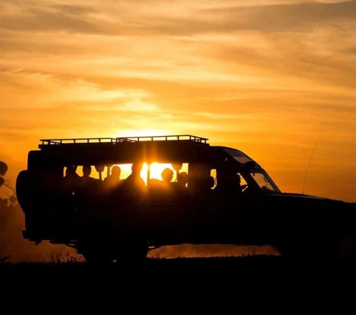 Night Game Drive