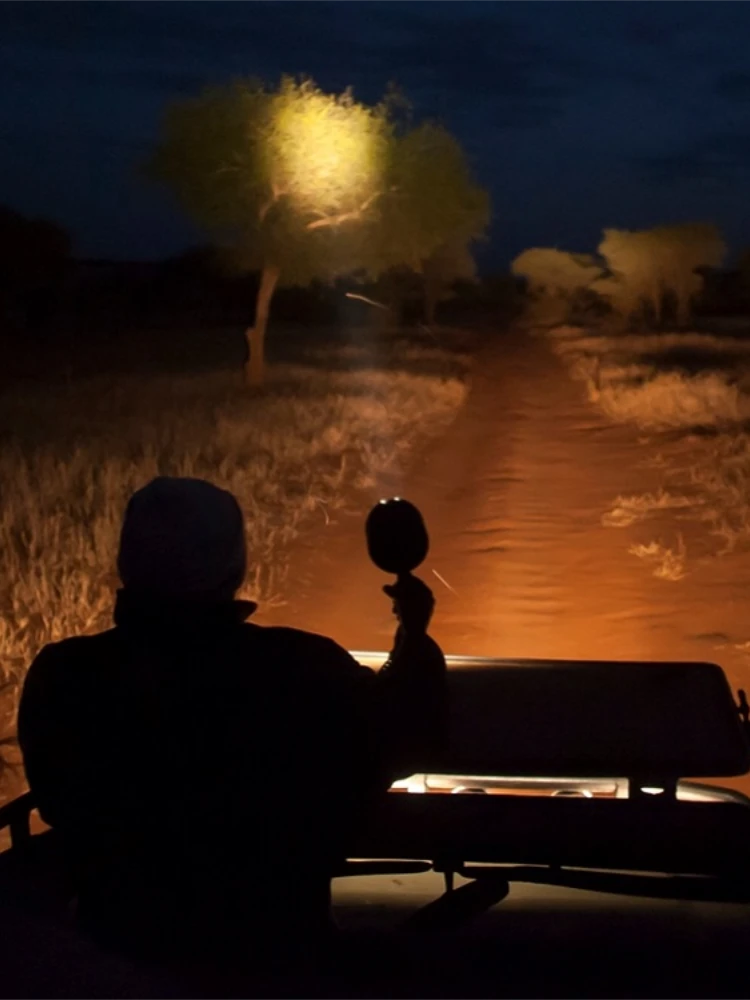 Night Game Drive