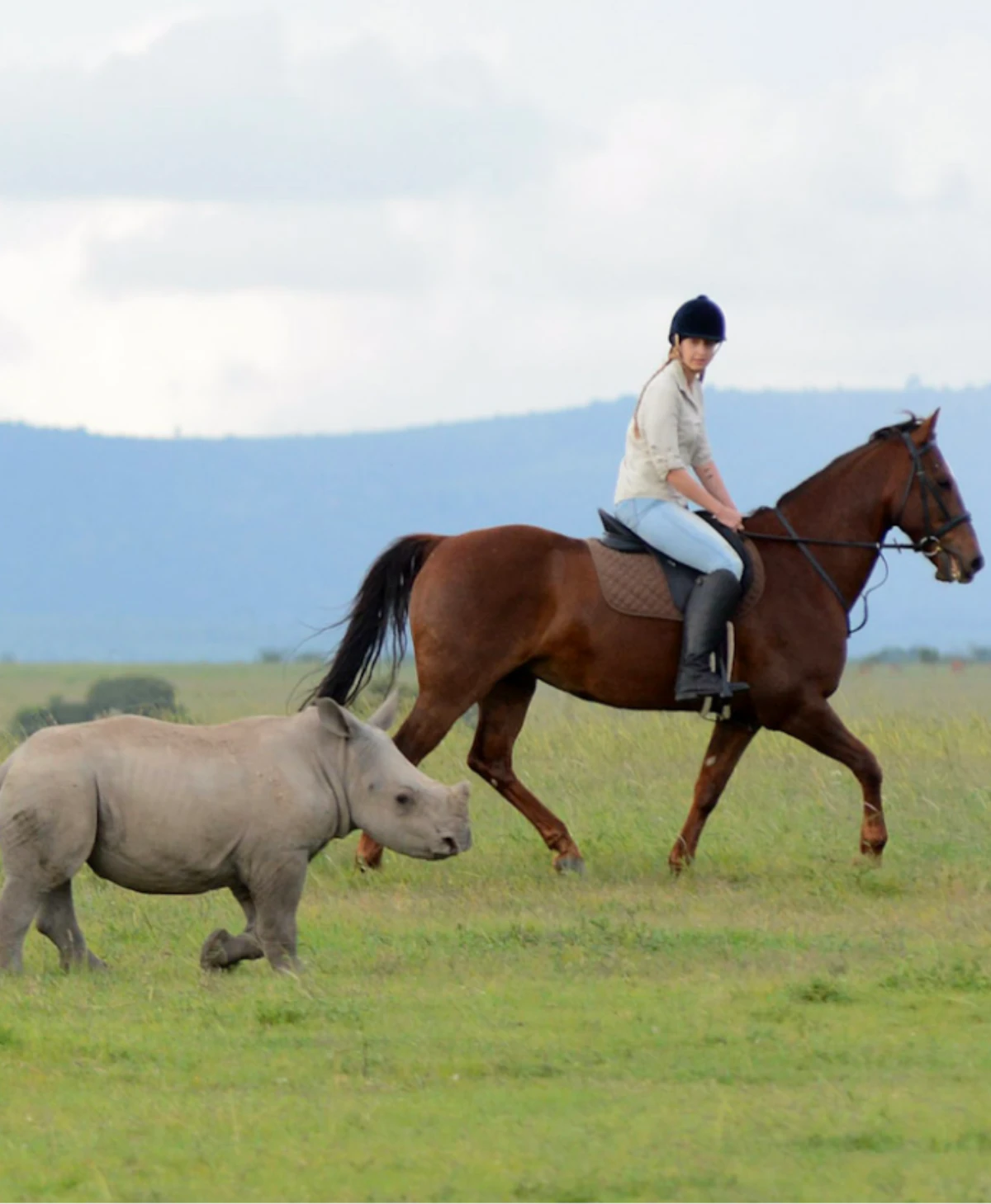 Ol Pejeta Conservancy